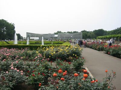神代植物公園のバラ