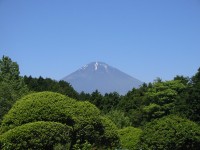 秩父宮記念公園から見た富士山