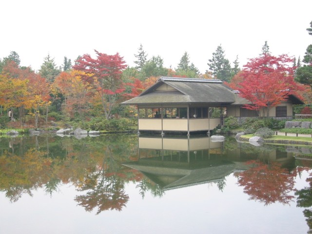 昭和記念公園の秋