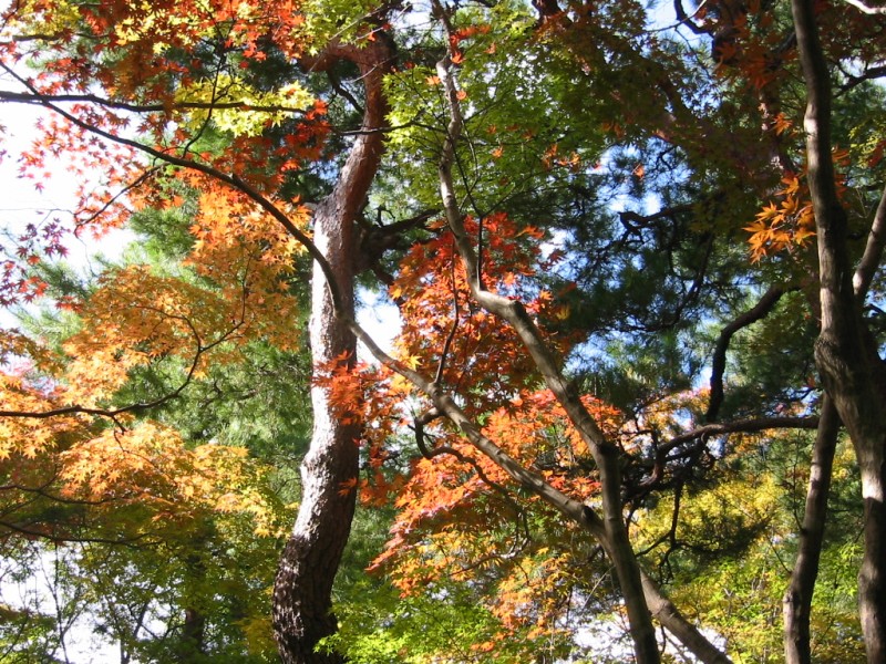 大河内山荘庭園