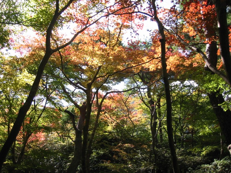 大河内山荘庭園