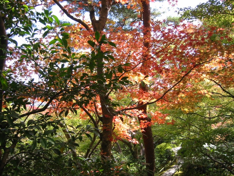 大河内山荘庭園