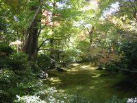 京都 大河内山荘庭園
