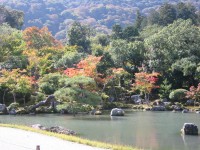 京都 天龍寺庭園