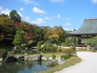 京都 天龍寺庭園